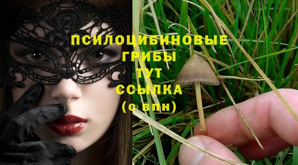 apvp Баксан