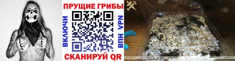 даркнет сайт  Лангепас  Галлюциногенные грибы Cubensis 